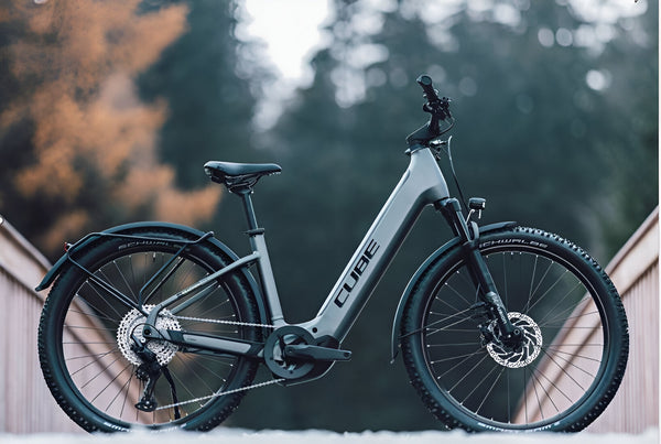 TRAIL/All Terrain E-BIKES