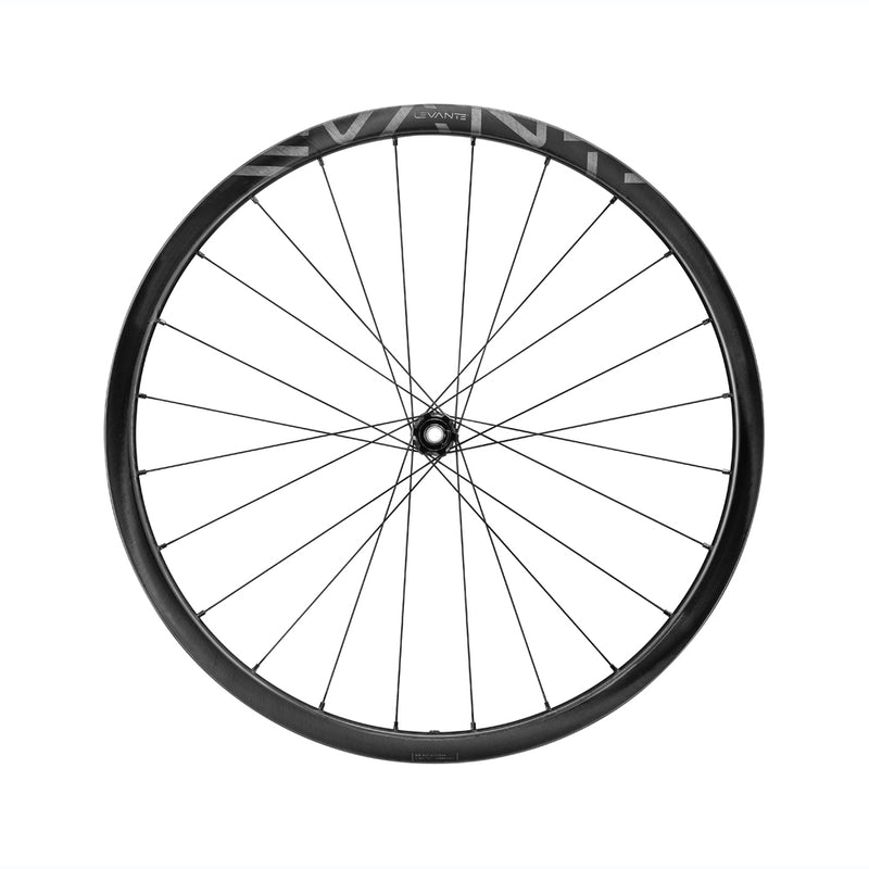 Load image into Gallery viewer, Campagnolo Levante Front and Rear Rim 

