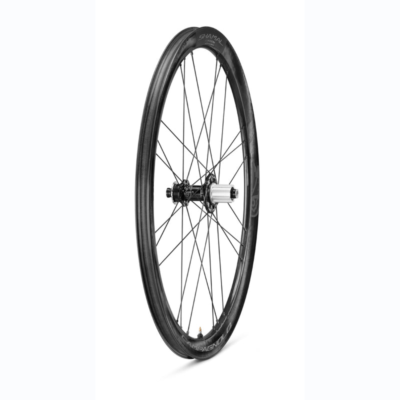 Load image into Gallery viewer, Campagnolo Shamal Rear Rim 21 Hole WH-004SHM

