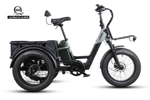 Vamos Papa Grande Pro E-Trike