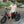 Vamos Papa Grande Pro E-Trike