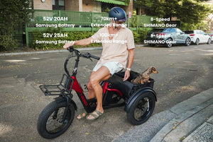 Vamos Papa Grande Pro E-Trike