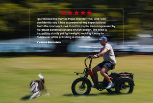 Vamos Papa Grande Pro E-Trike