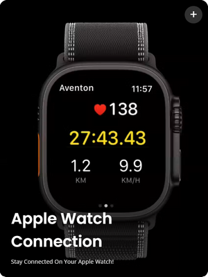 Aventon Level 4 Rec