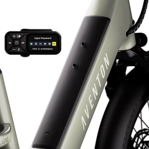Aventon Abound LR Cargo