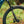 Aventon Current ADV eMTB (Pre-Order Now)