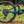 Aventon Current ADV eMTB (Pre-Order Now)