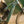 Aventon Current ADV eMTB (Pre-Order Now)
