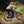 Aventon Current ADV eMTB (Pre-Order Now)