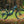 Aventon Current ADV eMTB (Pre-Order Now)