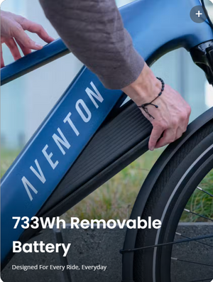 Aventon Level 4 Rec