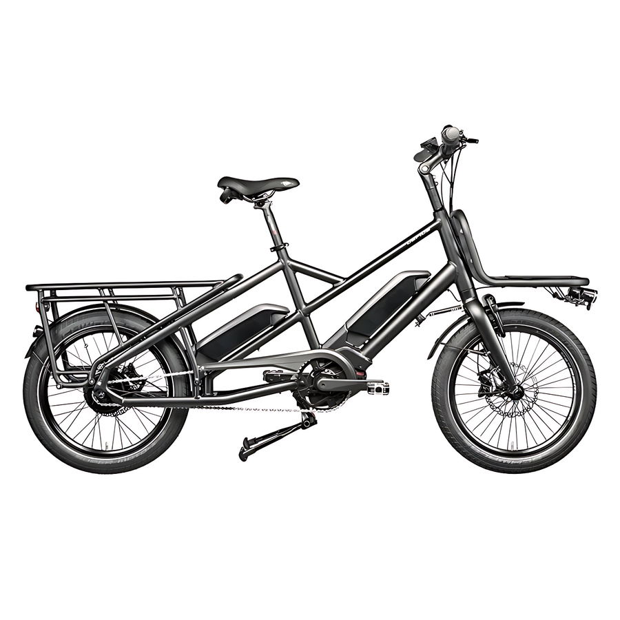 Gepida Cargo City E-Bike (ex demo)