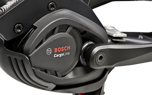 Gepida Cargo City E-Bike (ex-demo)
