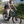 Aventon Level 4 Rec