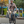 Aventon Level 4 Rec