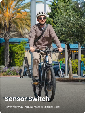 Aventon Level 4 Rec
