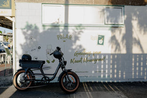 Smartmotion Renegade