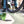 Schwalbe Tyre Marathon Plus